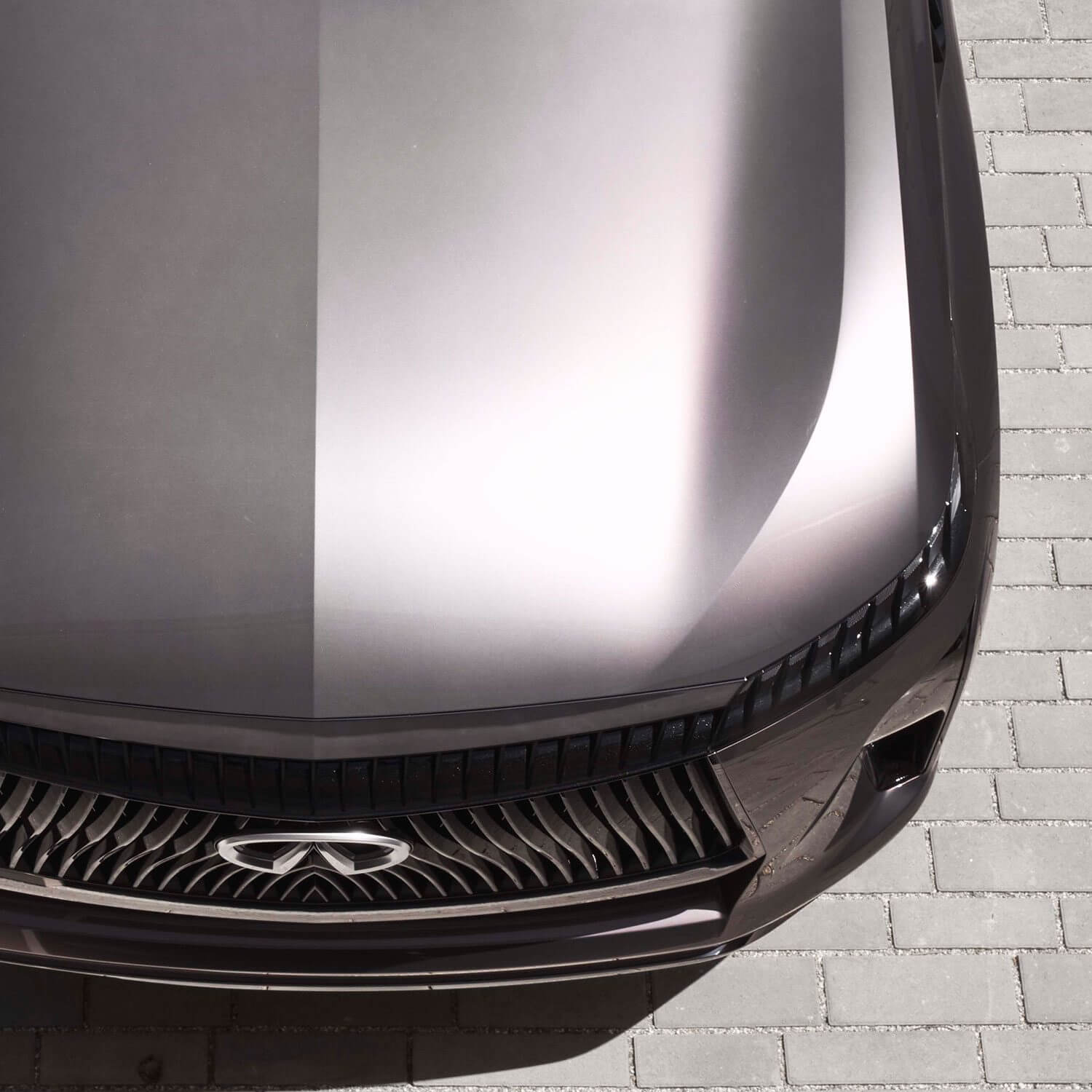 INFINITI QX Monograph vehicle hood